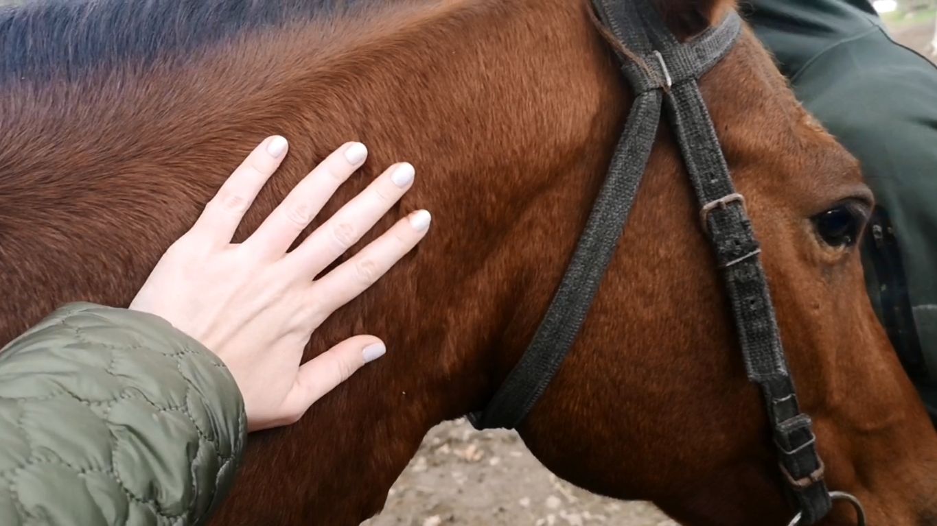 Дагестан за 4 дня. День 3. Конная прогулка, погоня за кроликами и пляжное кафе