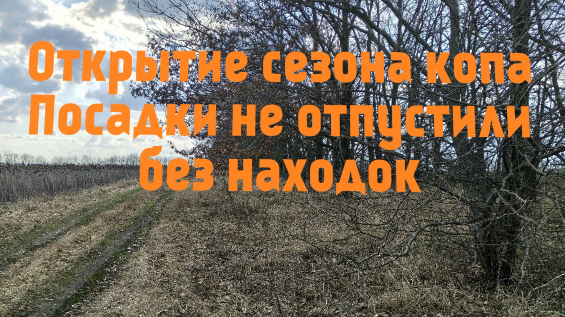Открытие сезона копа. Лесопосадки не отпустили без находок.