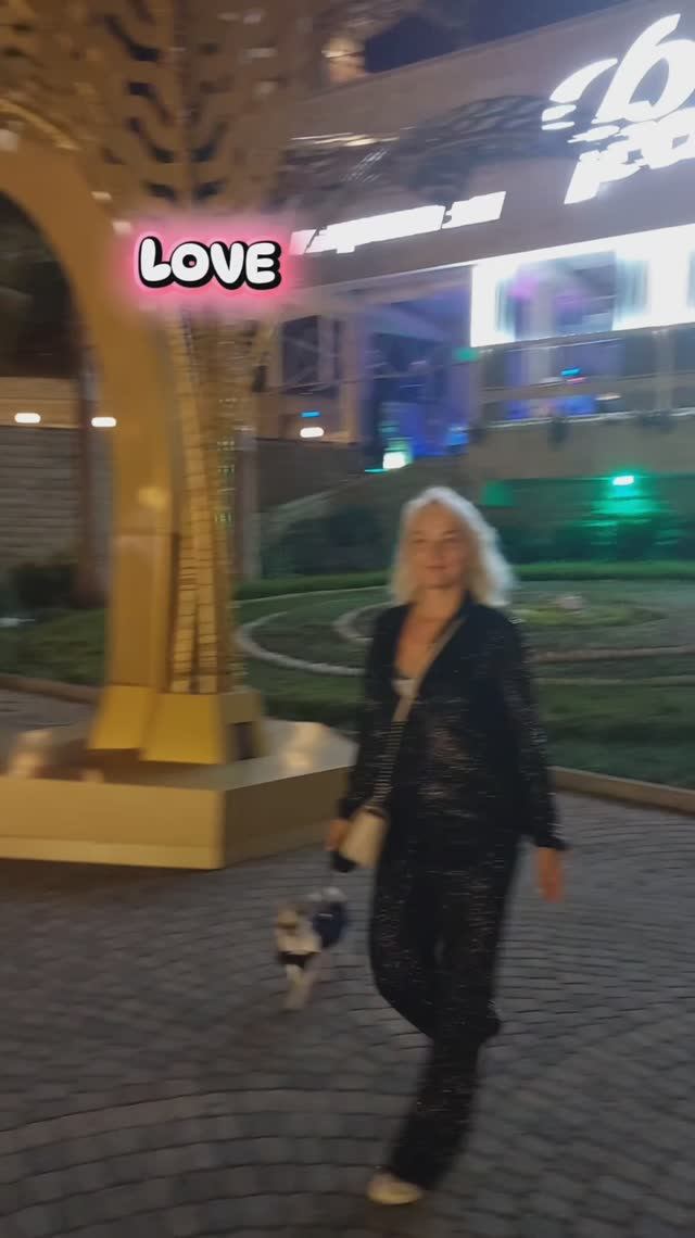 #ЧихуахуаРеди❤️ФЕСТИВАЛЬНЫЙ