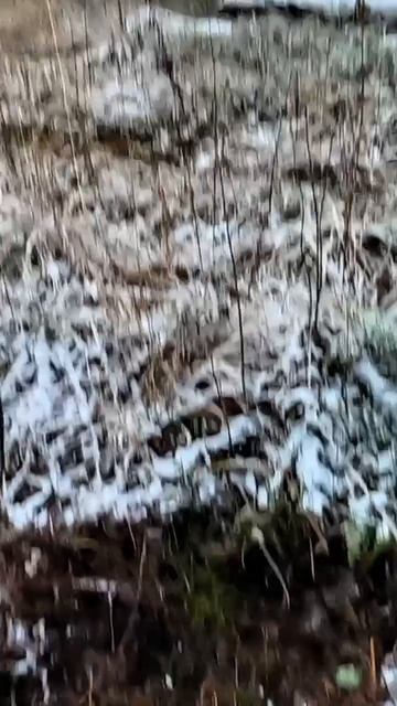 Цветмет всегда приветствуется!