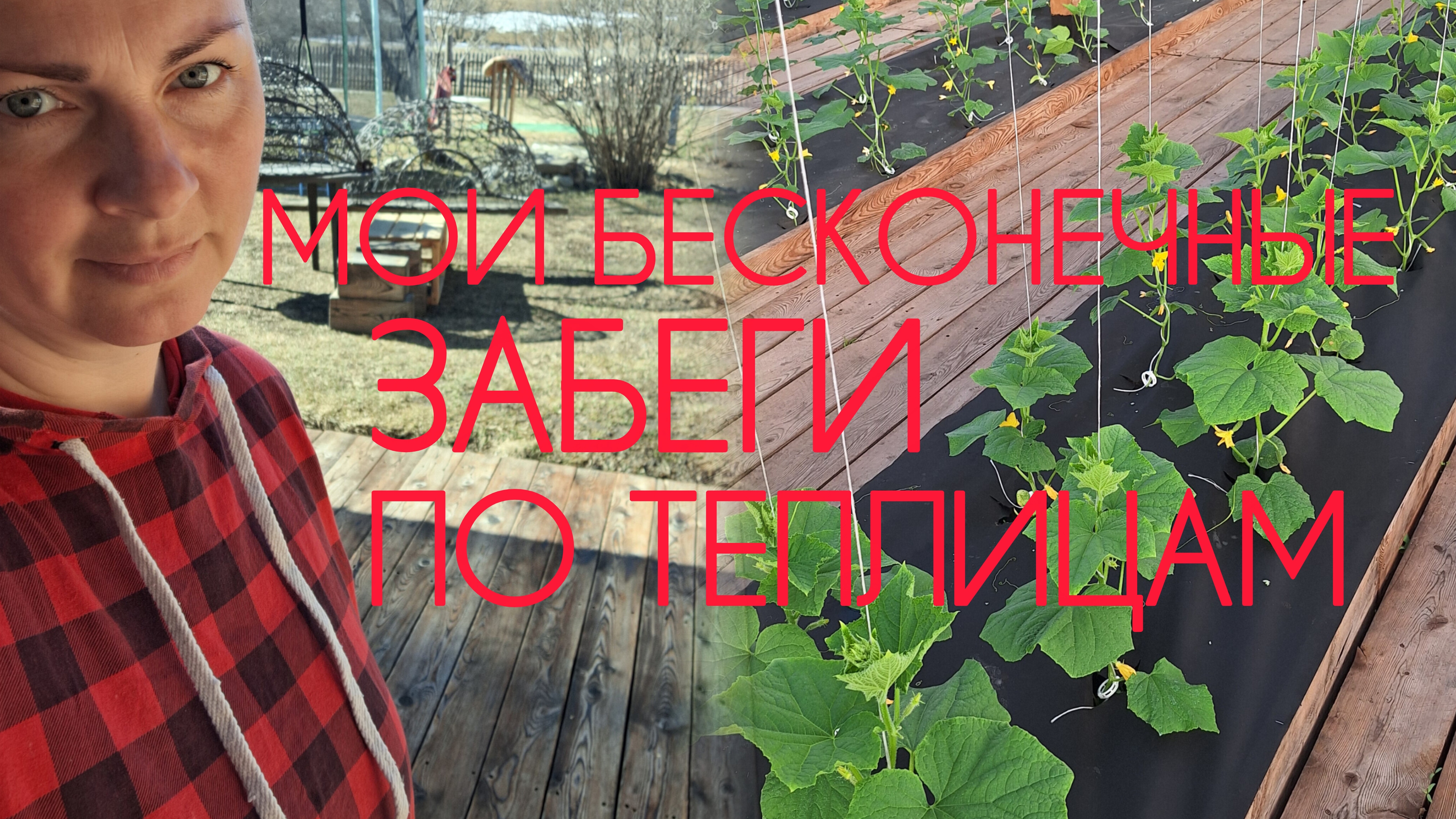 9f78db41dd1725f6f499c9dc717bcee6