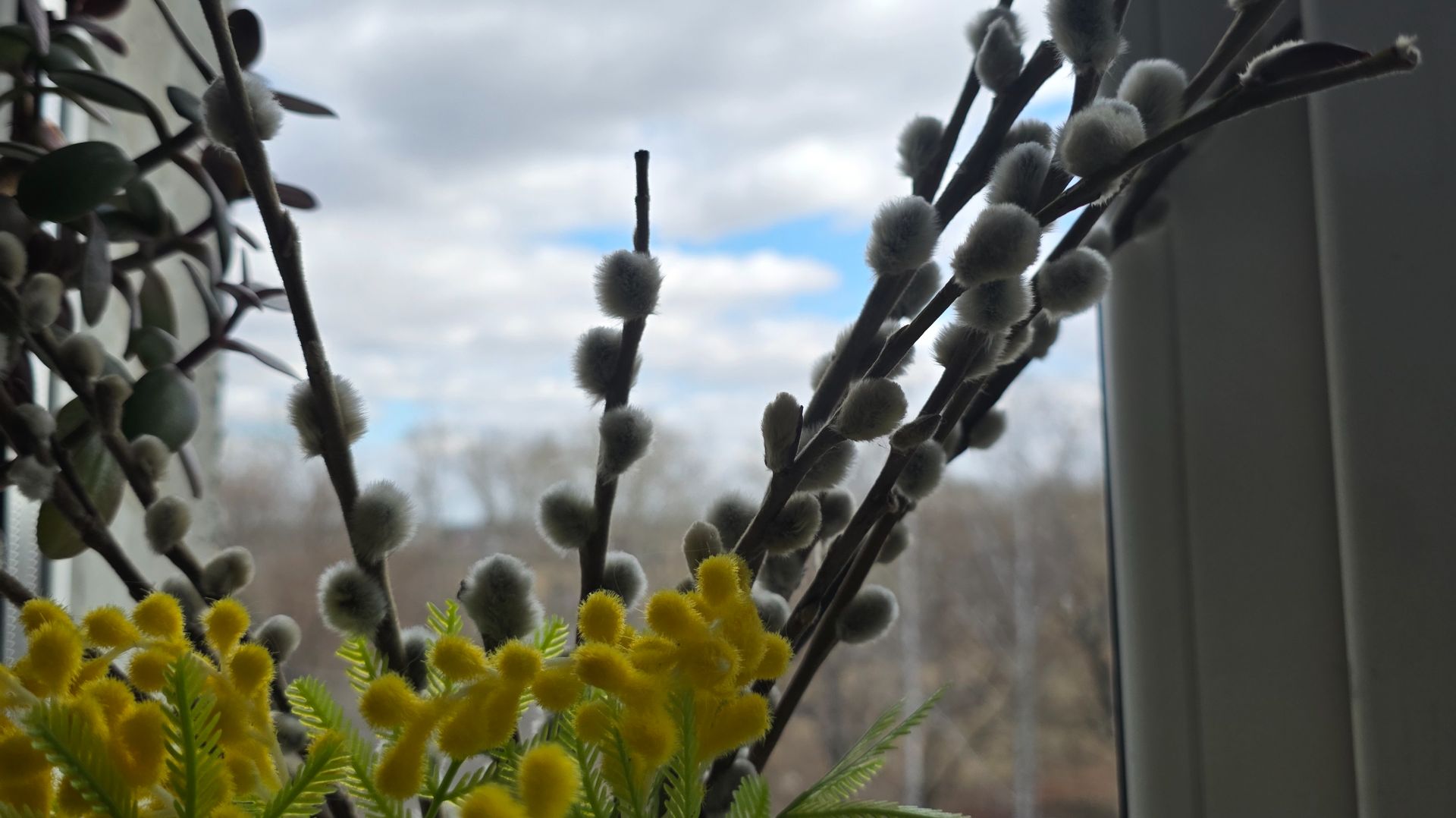 Можно делать уборку? С Вербным воскресеньем!