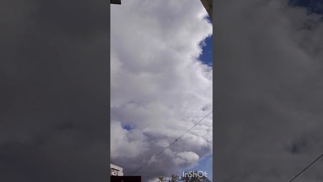 громкая сирена в Сочи от начала и до конца