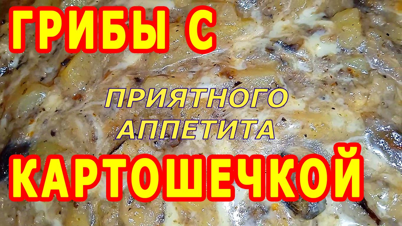 РЕЦЕПТЫ НА УЖИН: ГРИБЫ И КАРТОШКА! ВСЁ ПРОСТО!