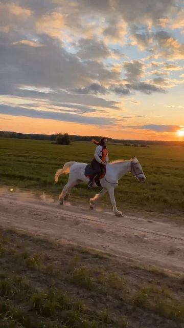 Летим на закате