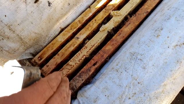 F7e3320cddc33416a1f64c1f4fba9e1e