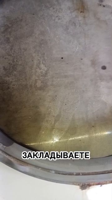 Кто отгрыз кусок манжеты на стиральной машине?