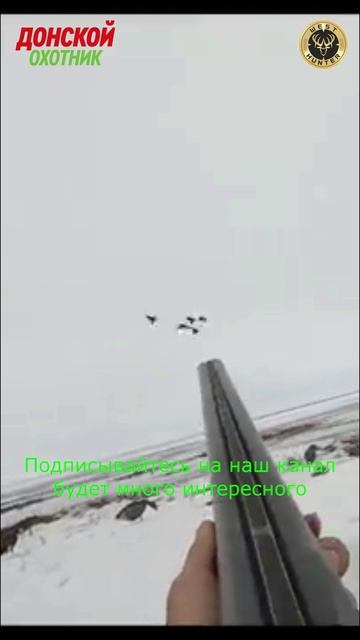 Охота не Гуся - Удачные выстрелы