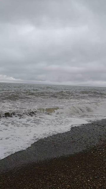 ДЖУБГА Молчанова пляж 04.04.2026