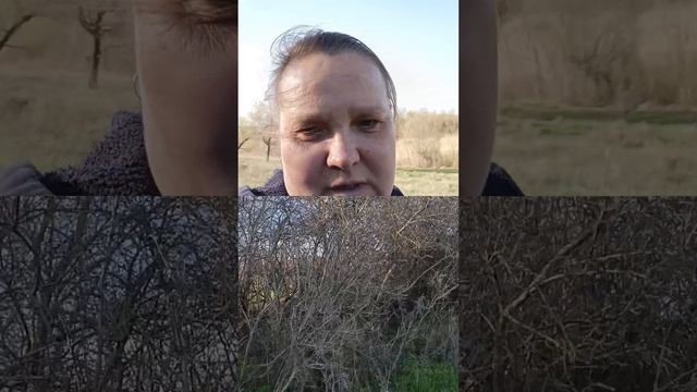 как всегда подборка видео