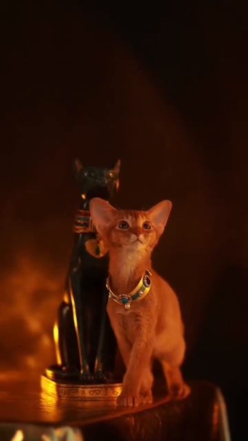 #майлз #растопила