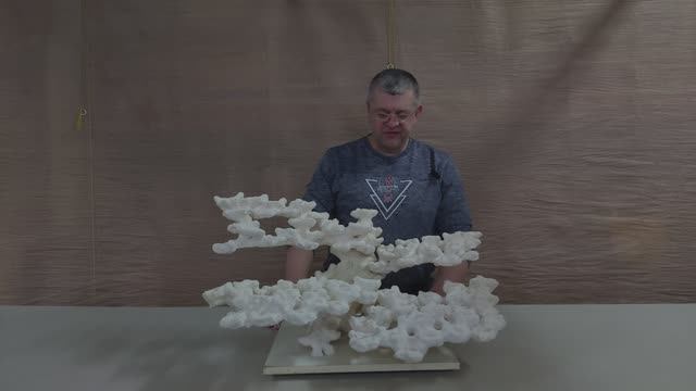 170226 Декорация из биокерамики для морского аквариума.