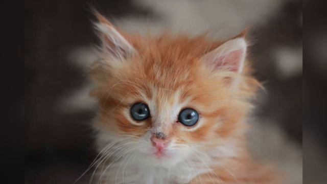 B51fe25e37fdca6c42cc6cfbc55cd324