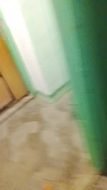 ~всякая всячина~