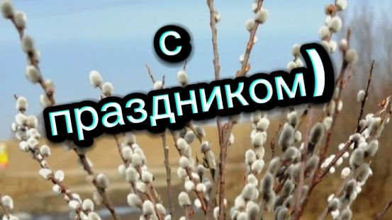 Дорогие мои хорошие. С праздниками вас