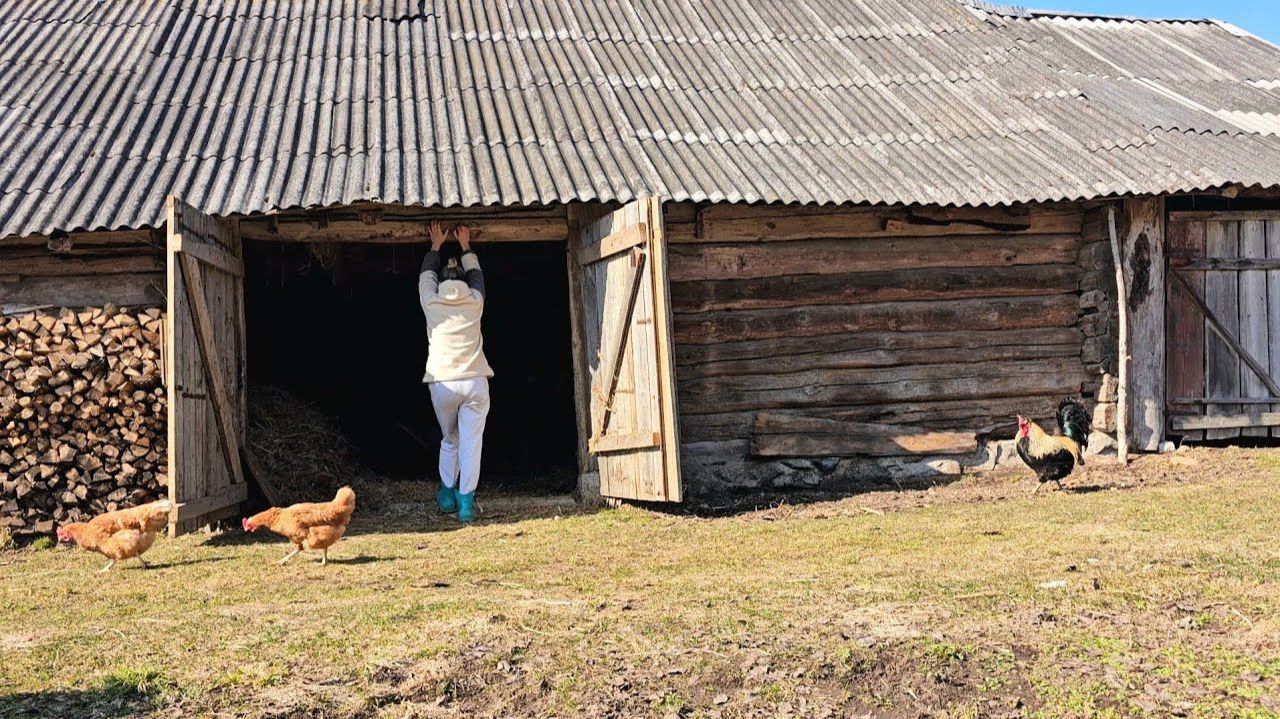 Семья в глухой деревне! Как и чем мы тут зарабатываем?! Наш хлев и огород.