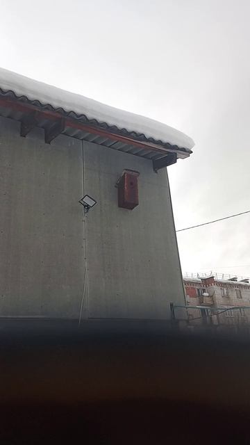 Здесь чужие не ходят!