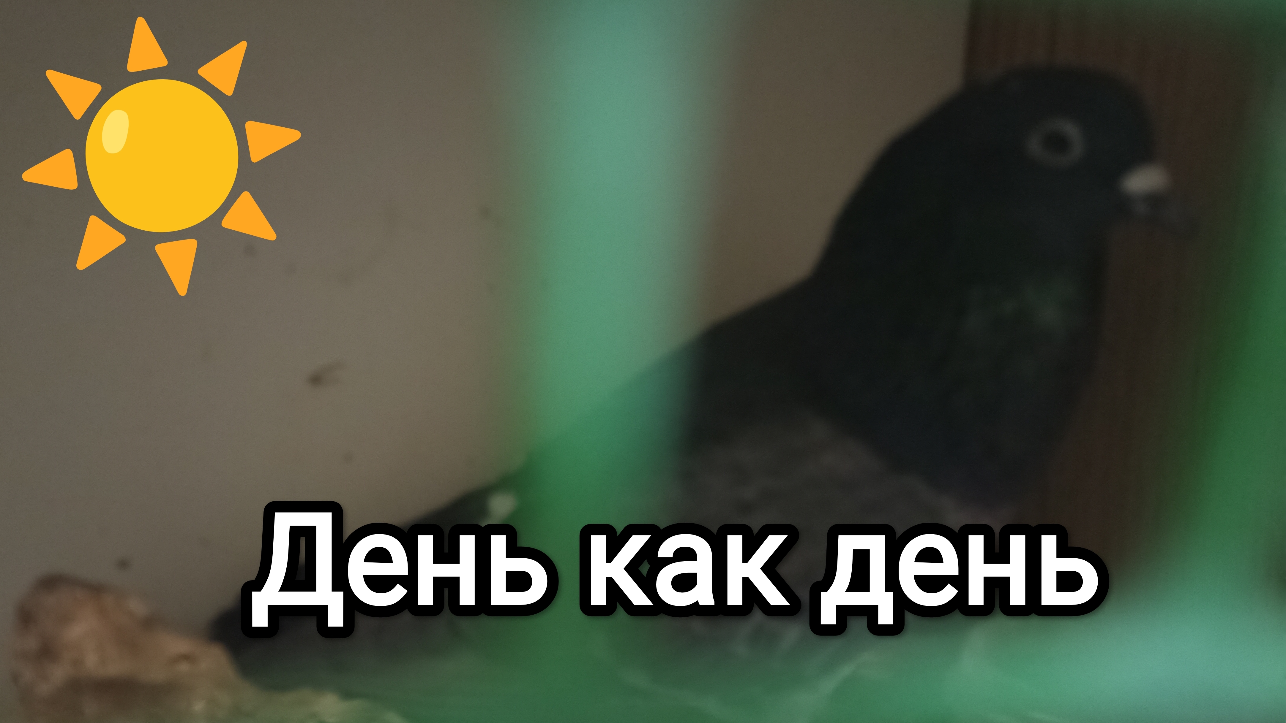 05-04-2026. День как день.