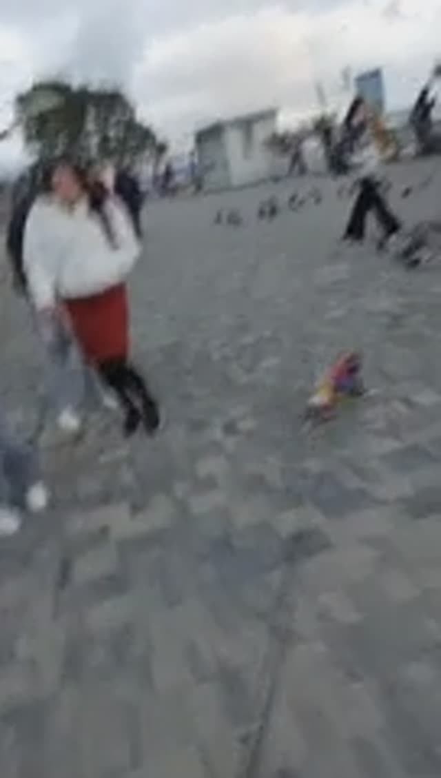 #ЧихуахуаРеди❤️ГРОЗА РАЙОНА