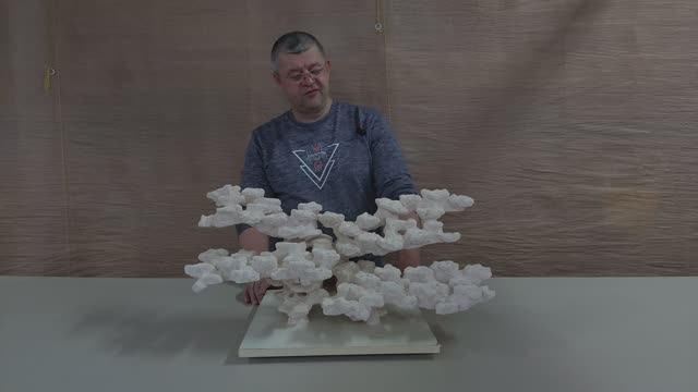 120226 Декорация для морского аквариума