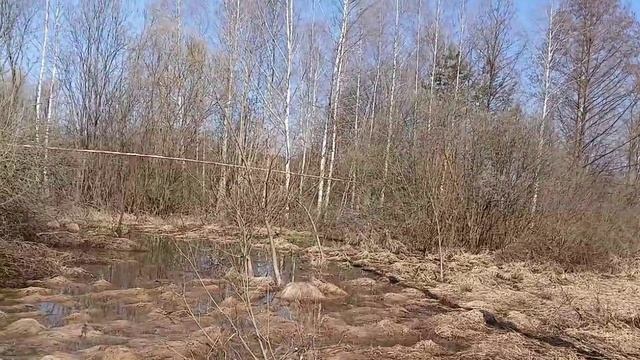 Накануне Вербного Воскресенья - автор стихов и видео Виктор Глазунов, п. Подлесный