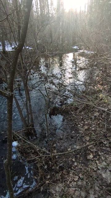 2a1094399ec8e3a6072de1690df84615