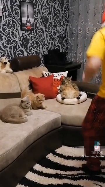 Концертный тур по России, заказ по телефону ...