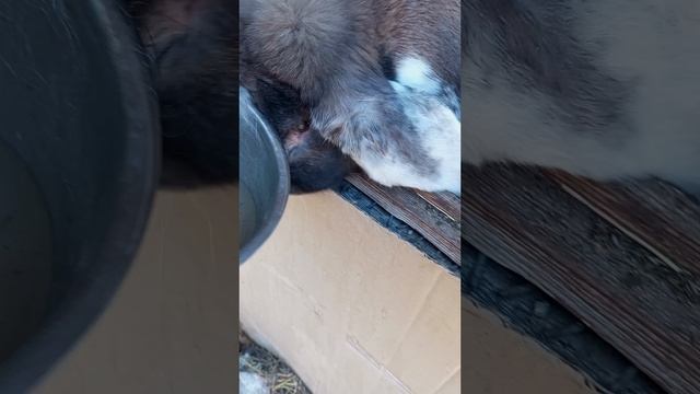 30-31 марта 2026(что делать? как поступить)