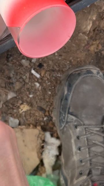 Нашёл Шкатулки в мусоре а там 😱 #находки #свалка #заработок #моинаходки #поиск #барахолка #клад