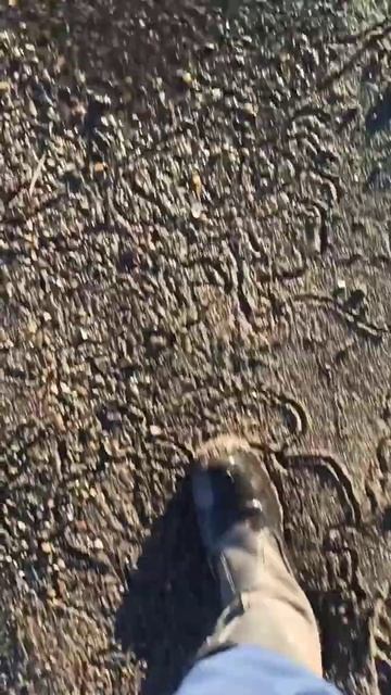 Уже можно ходить через речку. 🌊.mp4