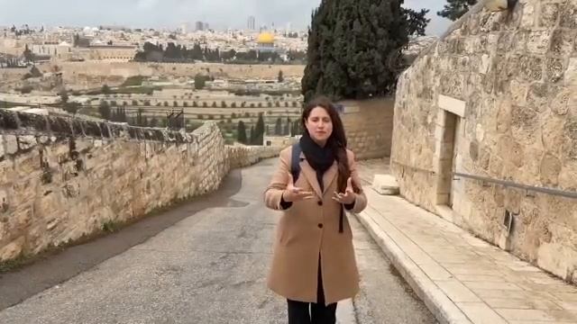 ТРИУМФАЛЬНЫЙ ВХОД ИИСУСА! /Израиль с Алин/