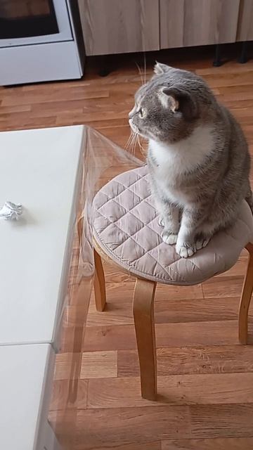 Лиж бы мусорить