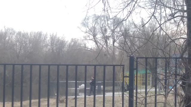 VID_20260404_132208.mp4