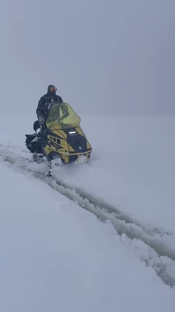 Вода и снег не помеха #Vitar #зима #снегоход