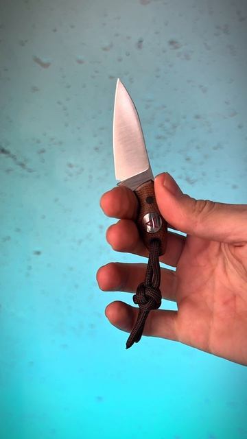 Все новинки можно посмотреть на Nozhiman.ru #новинки #ножи #ножиспб