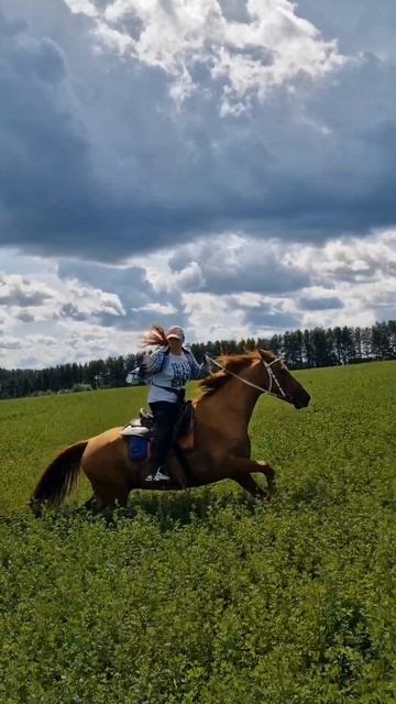 Дальние маршруты и поля ,лето 2025