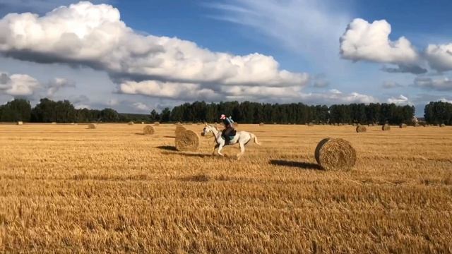 По скошенным полям