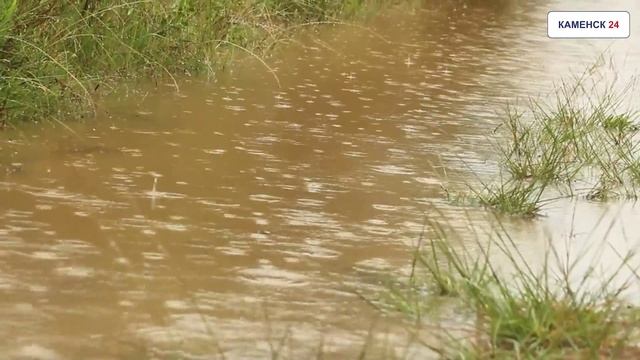 Чистая вода — дело общее