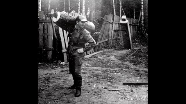 Оживление фотографии №180