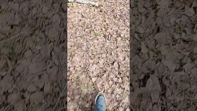 анонимус 2 часть