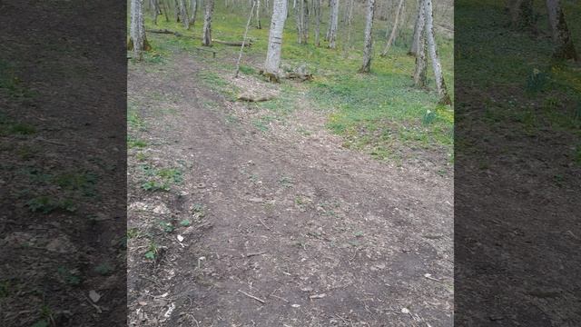 С праздником дорогие товарищи !!! У меня шикарное настроение !!!