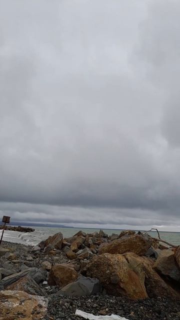 ДЖУБГА Молчанова пляж 04.04.2026