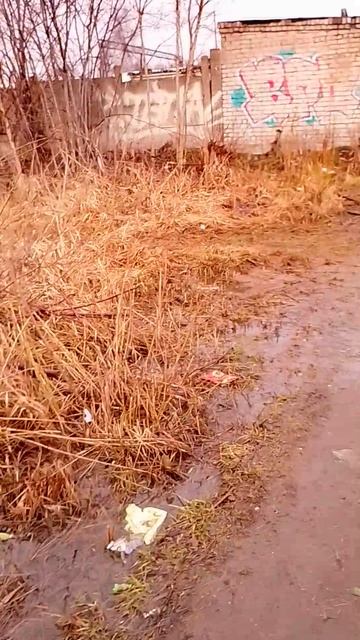 переход на ост.Лодочная идя с района-Пятерка,увы,в СССР он был ухожен лучше... гЯрославль,апр2026_ч2