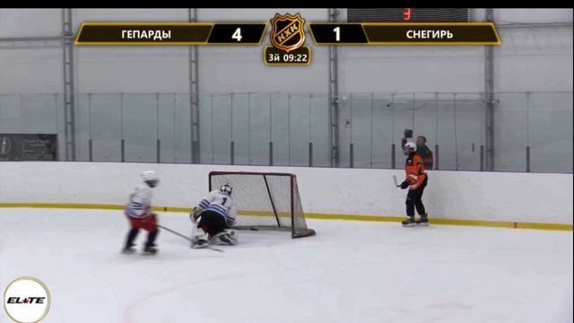Сыграл в КХК за Гепардов