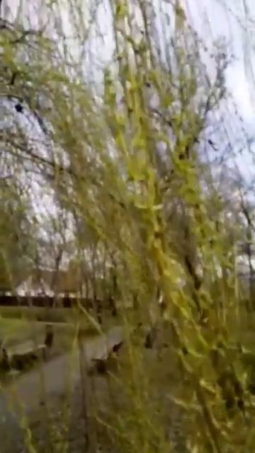 Весна (моё личное стихотворение)