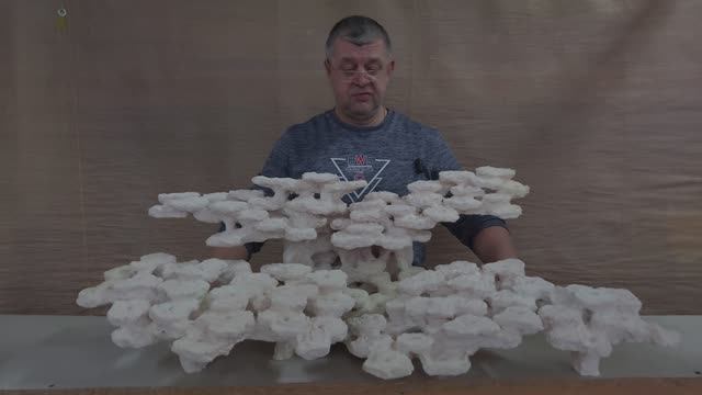 ДФГ-25 Декорация из биокерамики для морского аквариума