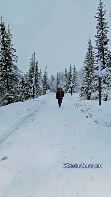 Мнение о сплетнях. Высказывания, цитаты. ЖизньСеверян.