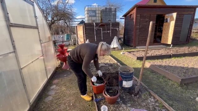 Обработали сад/Посадили ранние огурцы/04.04.2026