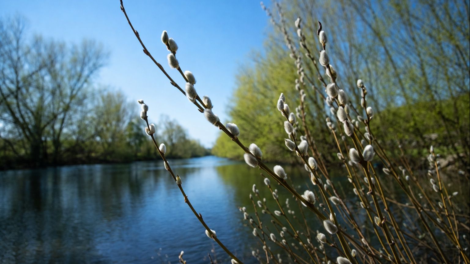 Вербное воскресение