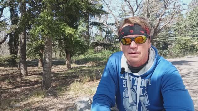 Розмарин пряность. Приправа с Юга .